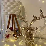 Clemenceau Confort - Jardin - Salle De Bain Privee - Wifi - Cuisine Partagee - 게스트하우스 3*