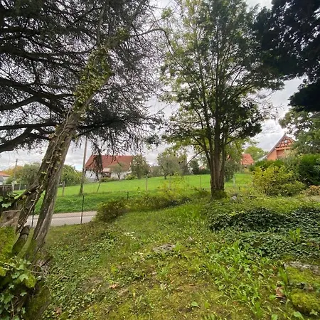 Gasthof Clemenceau Confort - Jardin - Salle De Bain Privee - Wifi - Cuisine Partagee - Wissembourg