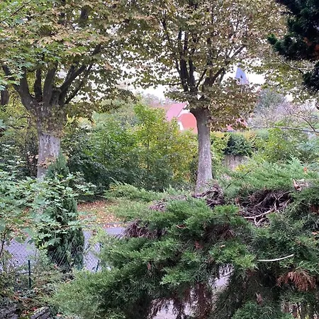 Clemenceau Confort - Jardin - Salle De Bain Privee - Wifi - Cuisine Partagee -