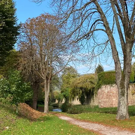 Clemenceau Confort - Jardin - Salle De Bain Privee - Wifi - Cuisine Partagee -